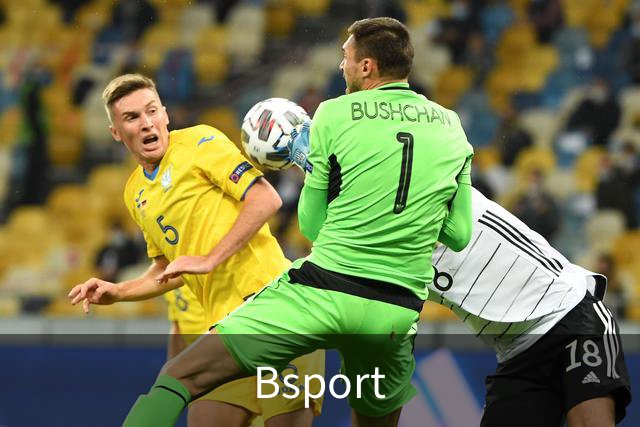 Bsport平台介绍展示图